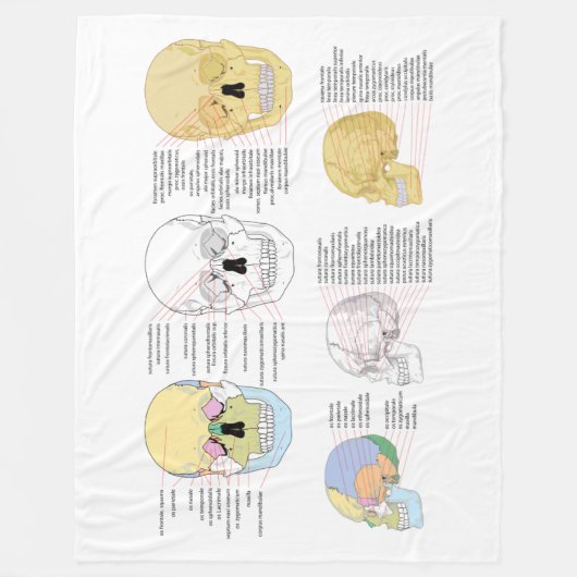 ヒト解剖学ヒトスカル毛布図解入りの、写真付きの剤 フリースブランケット (正面)