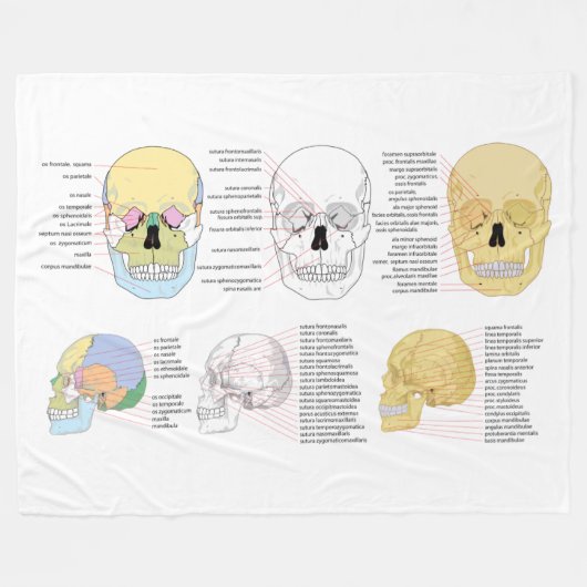 ヒト解剖学ヒトスカル毛布図解入りの、写真付きの剤 フリースブランケット (正面(横))