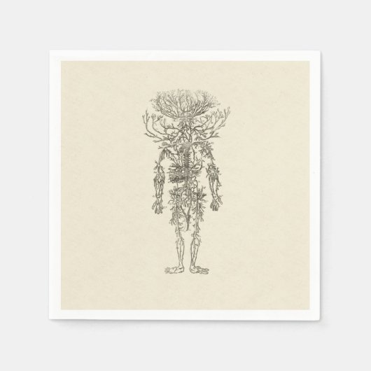 ヒト解剖学動脈アンティークイラストレーション スタンダードカクテルナプキン (正面)
