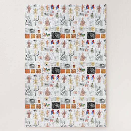 ヒト解剖学医図 ジグソーパズル (縦)