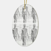 ヒト解剖学医図 セラミックオーナメント (左)