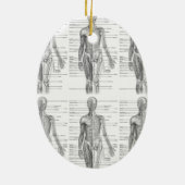 ヒト解剖学医図 セラミックオーナメント (裏面)
