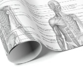 ヒト解剖学医図 ラッピングペーパー (ロールコーナー)