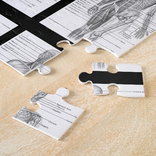 ヒト解剖学医学図 ジグソーパズル (側面)