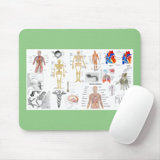 ヒト解剖学医学図 マウスパッド (マウス)