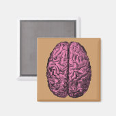 ヒト解剖学的脳 マグネット (正面/裏面)