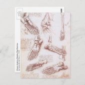 ヒト解剖学足ボーンズバイレオナルドダヴィンチ ポストカード (正面/裏面)