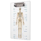 ヒト解剖学 クリップボード (左)