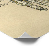 ヒト足解剖学1902ヴィンテージプリント ポスター (角)