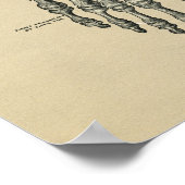 ヒト足解剖学1902ヴィンテージプリント ポスター (角)