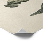 ヒト足骨解剖学ヴィンテージプリント ポスター (角)