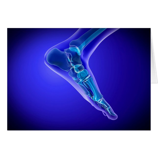 ヒト足3 (正面横)