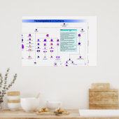 ヒト造血幹細胞の図 ポスター (キッチン)