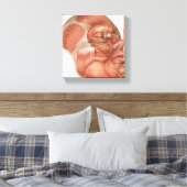 ヒト顔筋構造 キャンバスプリント (インサイチュ (寝室))