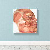 ヒト顔筋構造 キャンバスプリント (インサイチュ (ウッドフロア))