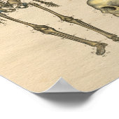 ヒト骨格スカル脊椎解剖学1841プリント ポスター (角)