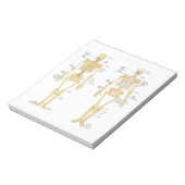 ヒト骨格標識解剖図 ノートパッド (回転)