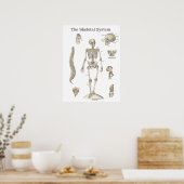 ヒト骨格解剖図 ポスター (キッチン)