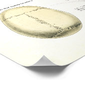 ヒト骨格解剖学ポスター ポスター (角)