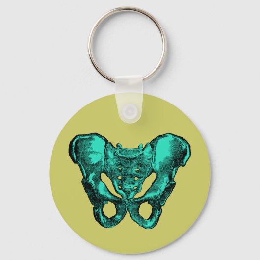 ヒト骨盤解剖学的骨 キーホルダー (正面)