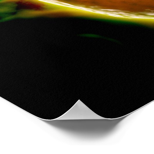 ヒトB細胞の顕微鏡的見解2 ポスター (角)