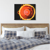 ヒトB細胞の顕微鏡的見解3 キャンバスプリント (インサイチュ (寝室))