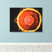 ヒトB細胞の顕微鏡的見解3 キャンバスプリント (インサイチュ (ウッドフロア))