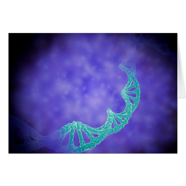 ヒトDNAの鎖の様式化された見解 (正面横)