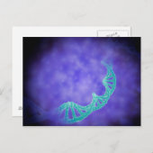 ヒトDNAの鎖の様式化された見解 ポストカード (正面/裏面)