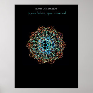 ヒトDNAポスター ポスター
