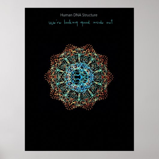 ヒトDNAポスター ポスター (正面)