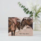 ヒドラ島（ギリシャ） ポストカード (スタンド正面)