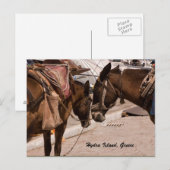 ヒドラ島（ギリシャ） ポストカード (正面/裏面)