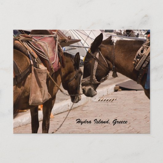 ヒドラ島（ギリシャ） ポストカード (正面)