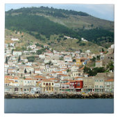 ヒドラ タイル (正面)