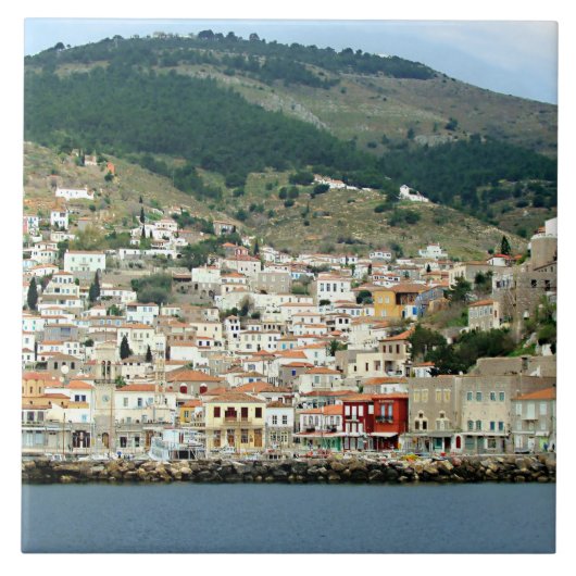 ヒドラ タイル (正面)