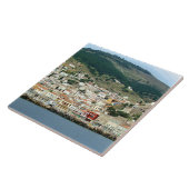 ヒドラ タイル (側面)