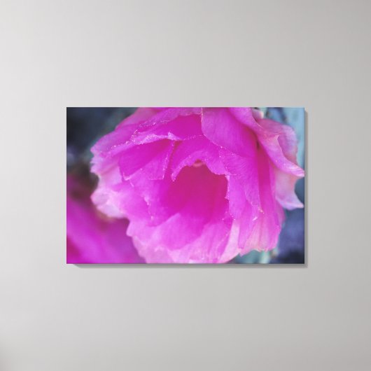 ヒナギクの花 キャンバスプリント (正面)