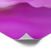 ヒナギクの花 ポスター (角)