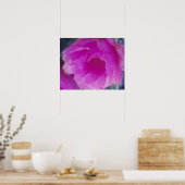 ヒナギクの花 ポスター (キッチン)