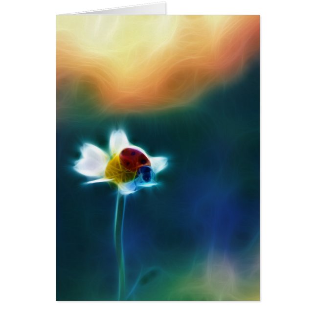 ヒナギク (正面)