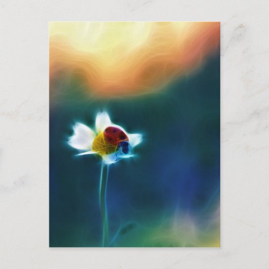 ヒナギク ポストカード (正面)