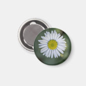 ヒナギク (Bellis perennis) 花 マグネット (正面/裏面)