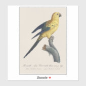 ヒナ　サンバケイ　または　コンure　Aratinga solstitialis シール (シート)