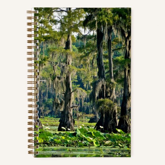 ヒノキのスケッチ集 – 001 ノートブック (正面)