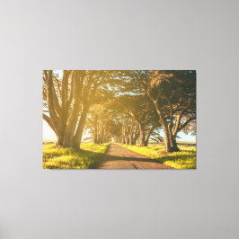 ヒノキのトンネル キャンバスプリント