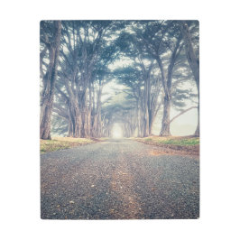 ヒノキのトンネル メタルプリント