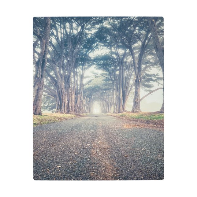 ヒノキのトンネル メタルプリント (正面)