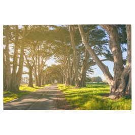 ヒノキのトンネル メタルプリント