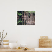 ヒノキのハゲ林ポスター ポスター (キッチン)